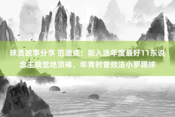 球员故事分享 范迪克：能入选年度最好11东说念主嗅觉绝顶棒，年青时曾效法小罗踢球