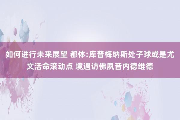 如何进行未来展望 都体:库普梅纳斯处子球或是尤文活命滚动点 境遇访佛夙昔内德维德