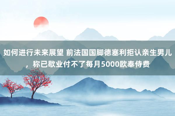 如何进行未来展望 前法国国脚德塞利拒认亲生男儿，称已歇业付不了每月5000欧奉侍费