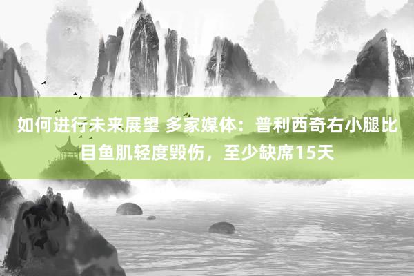 如何进行未来展望 多家媒体：普利西奇右小腿比目鱼肌轻度毁伤，至少缺席15天