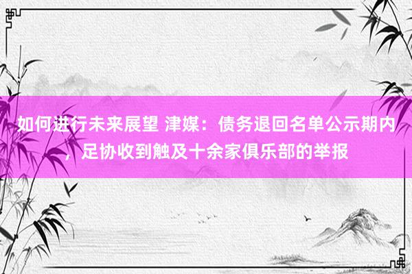 如何进行未来展望 津媒：债务退回名单公示期内，足协收到触及十余家俱乐部的举报