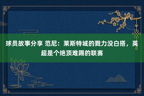 球员故事分享 范尼：莱斯特城的戮力没白搭，英超是个绝顶难踢的联赛