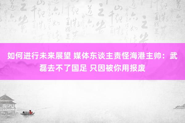 如何进行未来展望 媒体东谈主责怪海港主帅：武磊去不了国足 只因被你用报废